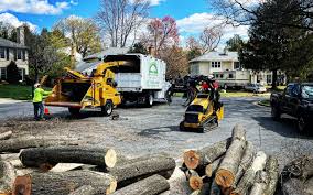 Best Tree Maintenance Programs  in Malakoff, TX