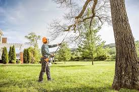 Best Commercial Tree Services  in Malakoff, TX